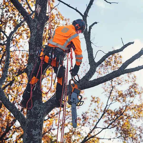 Husqvarna 550i XP G Motorsav_5