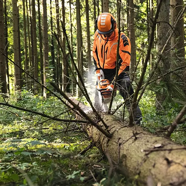 STIHL MSA 300 Motorsav_5