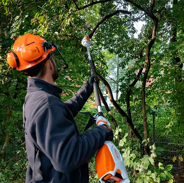 STIHL HTA 66 Stangsav_4